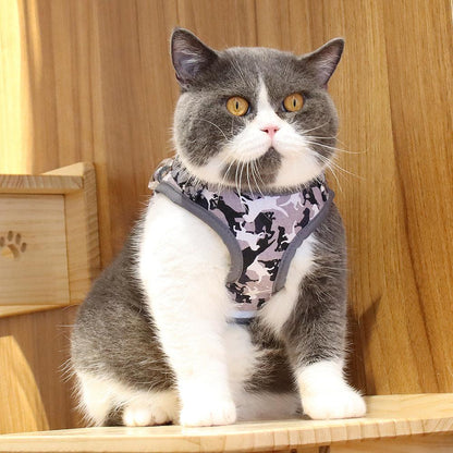 Reflective Adventure Pet Harness With Printed Leash-1