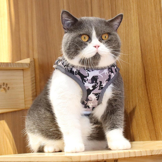 Reflective Adventure Pet Harness With Printed Leash-1