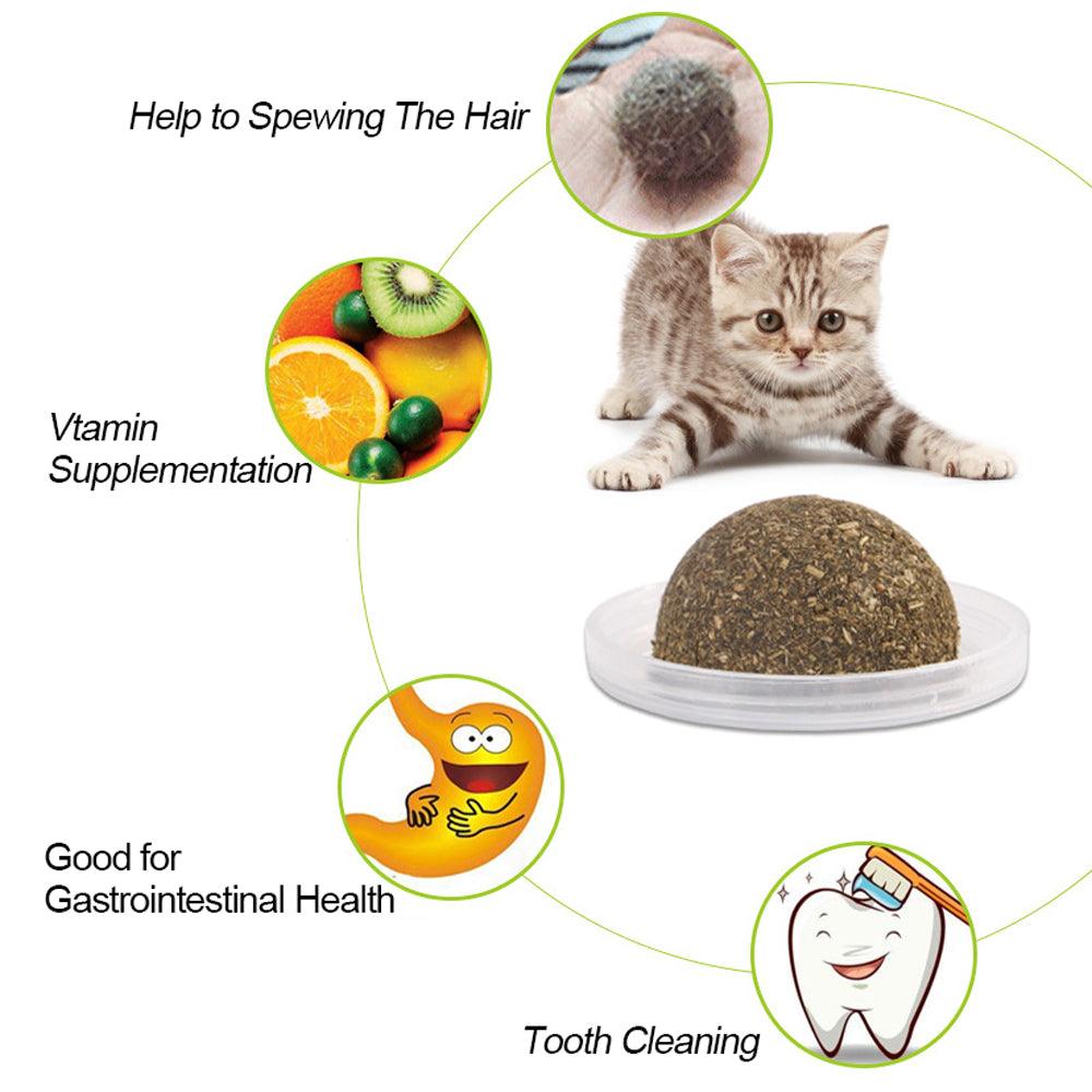 Minty Fun Catnip Ball Toy Set - Interactive Pet Supplies For Playful Cats-2