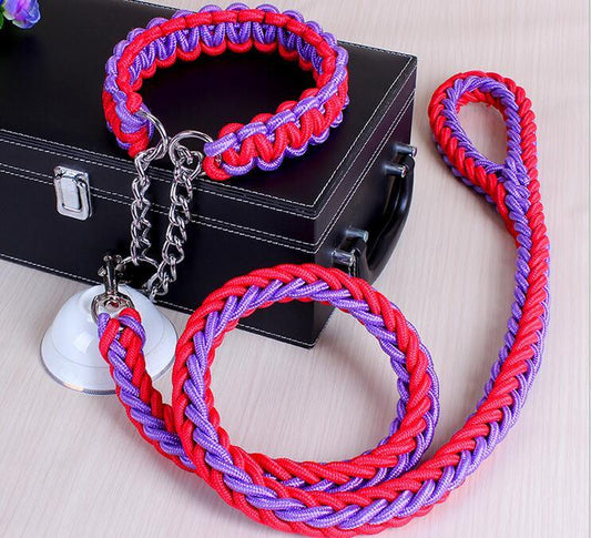 Stylish Adjustable Dog Leash And Collar Set-1