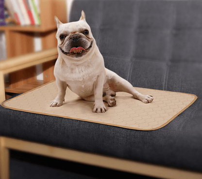 Pet Comfort Care Absorbent Diaper Mat-5