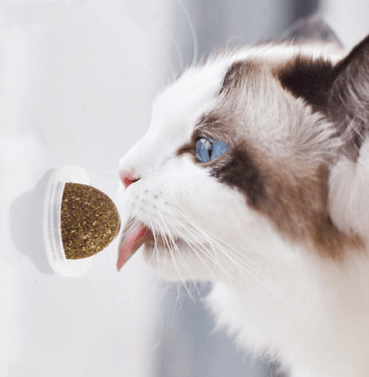 Minty Fun Catnip Ball Toy Set - Interactive Pet Supplies For Playful Cats-1