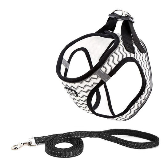 Reflective Mesh Dog Leash And Harness Set - Lightweight And Comfortable Traction Suit For Dogs-1