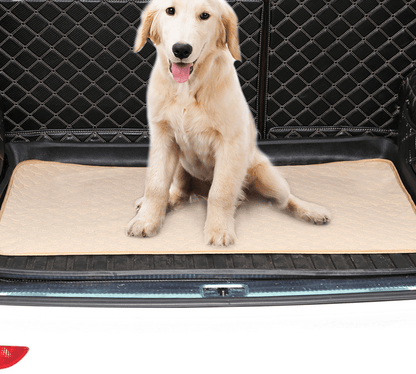 Pet Comfort Care Absorbent Diaper Mat-4
