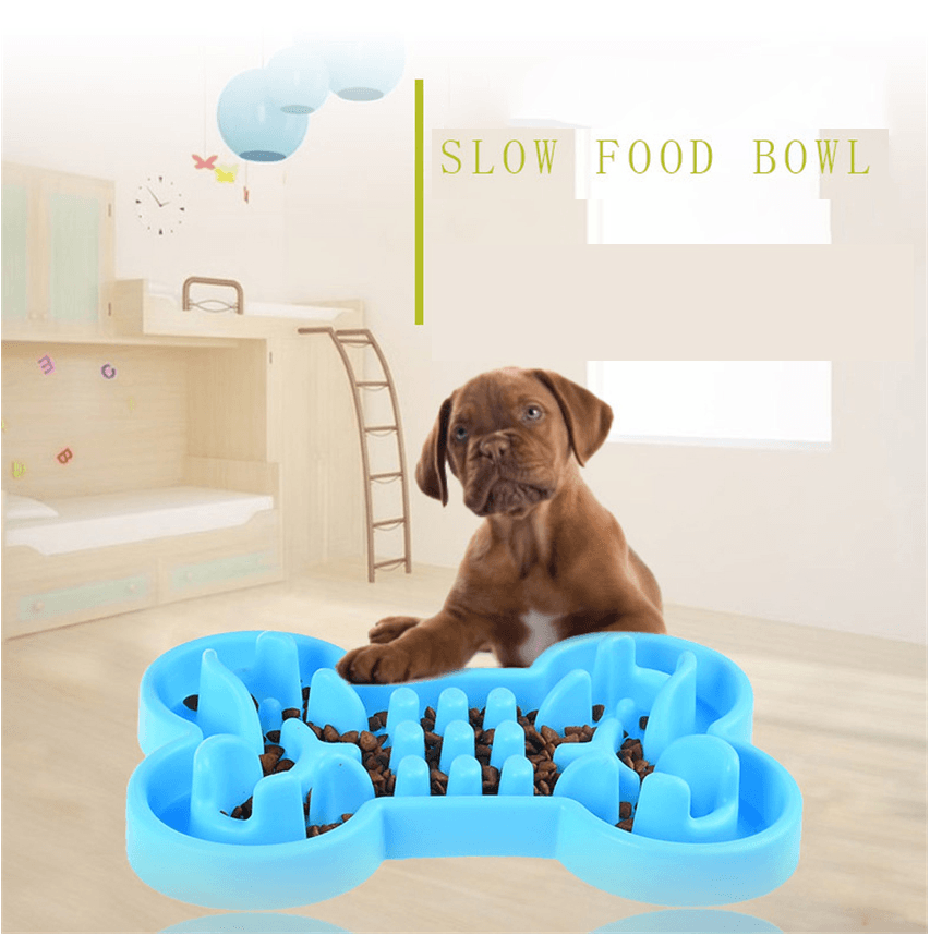 Pet Puzzler: Slow Feed Travel Bowl-0