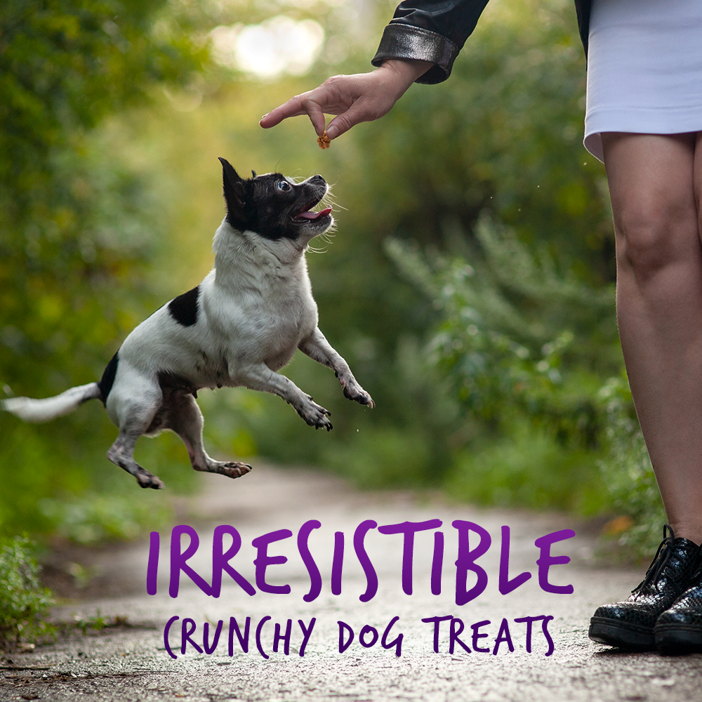 Fruitables Pumpkin & Blueberry Mix Dog Treats (8x7 Oz)-3