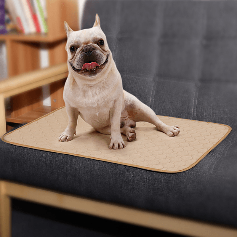 Pet Comfort Care Absorbent Diaper Mat-0