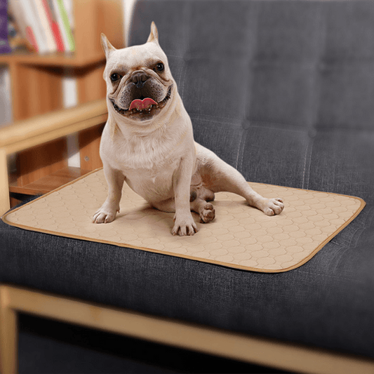 Pet Comfort Care Absorbent Diaper Mat-0