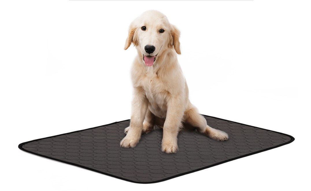 Pet Comfort Care Absorbent Diaper Mat-6