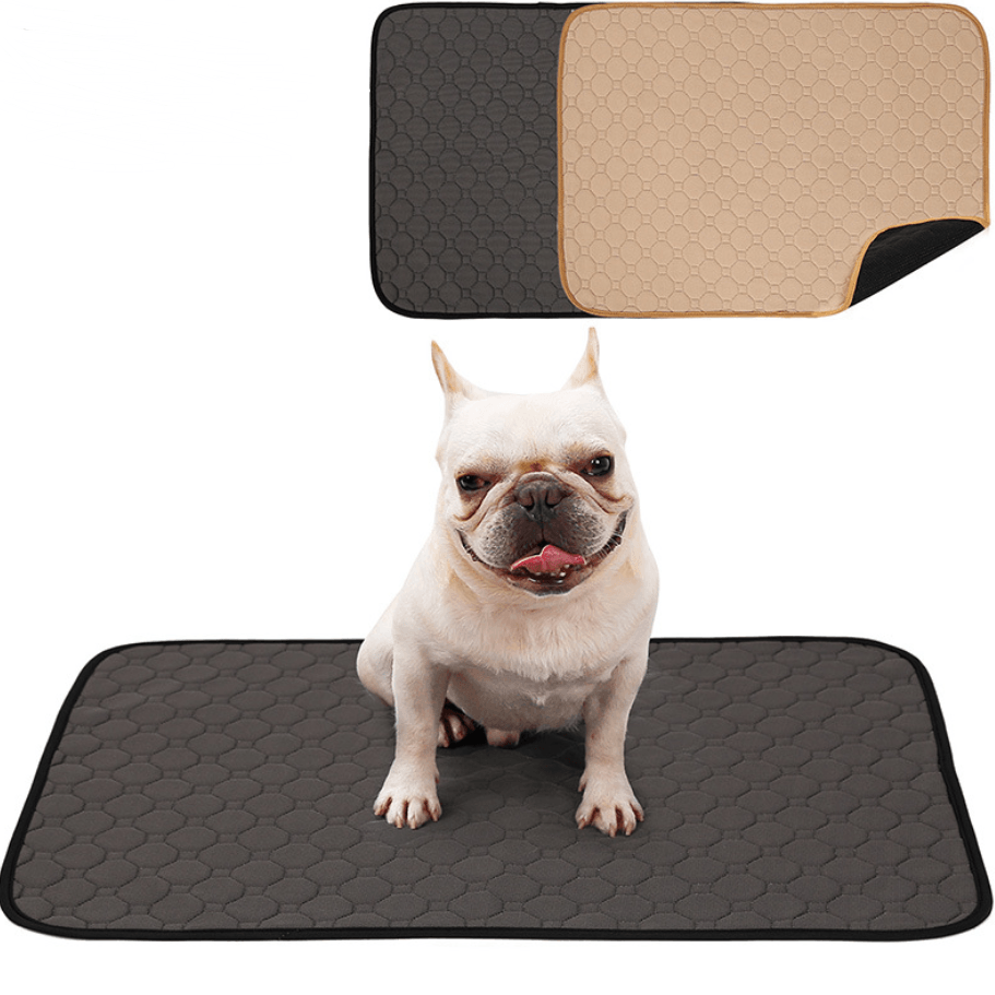 Pet Comfort Care Absorbent Diaper Mat-2