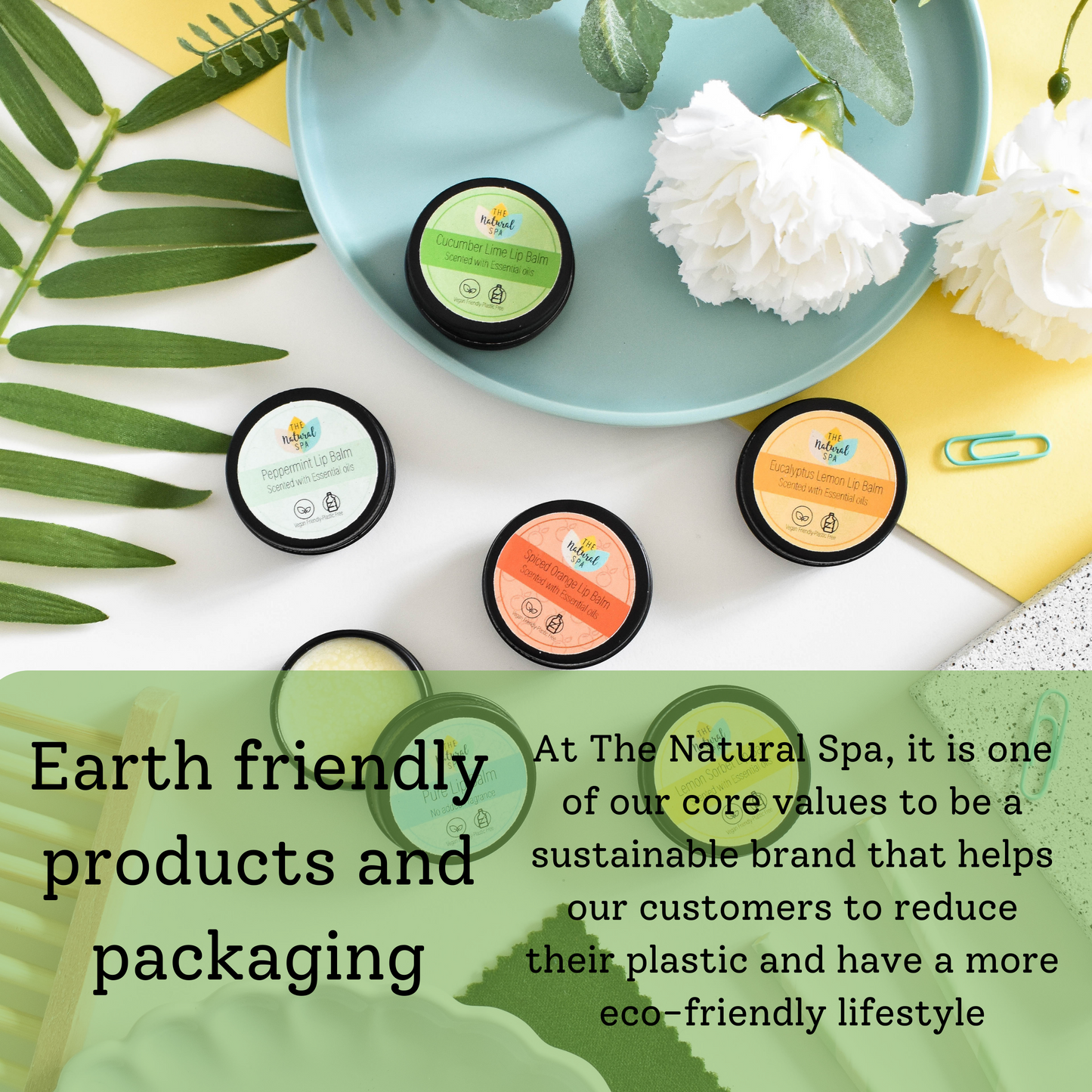 Peppermint All Natural Lip Balm-3