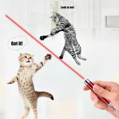 Interactive Laser Pointer Toy for Cats-3