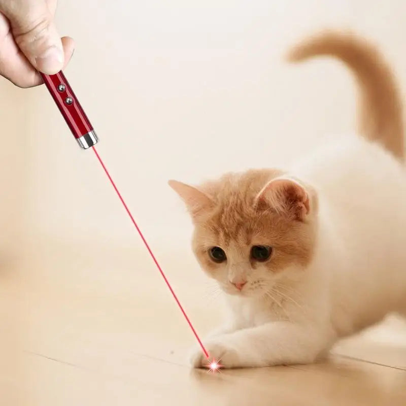 Interactive Laser Pointer Toy for Cats-4