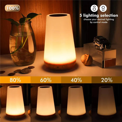 Color changing Night Lamp-2