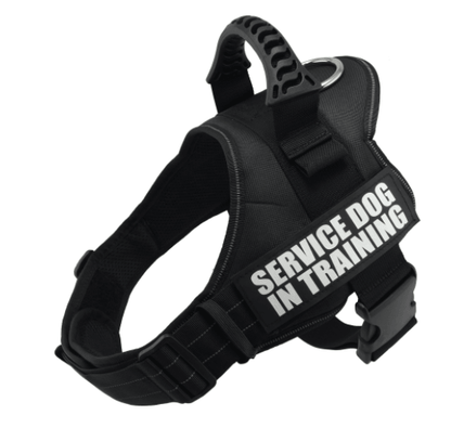 Explosafe Pet Leash: The Ultimate Safety Harness For Your Furry Friend-6
