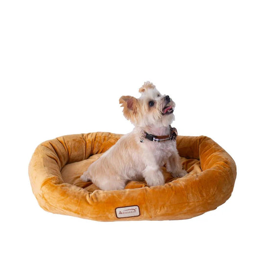 Armarkat Ultra-Soft Bolstered Pet Bed & Mat S/M/L-0