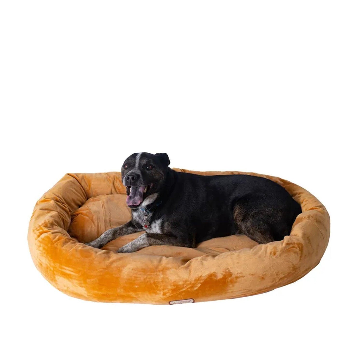 Armarkat Ultra-Soft Bolstered Pet Bed & Mat S/M/L-5