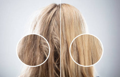 Organic Argan Hair Oil-1