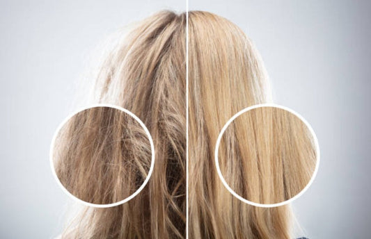 Organic Argan Hair Oil-1
