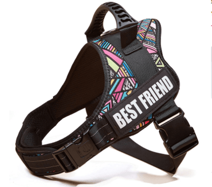 Explosafe Pet Leash: The Ultimate Safety Harness For Your Furry Friend-15